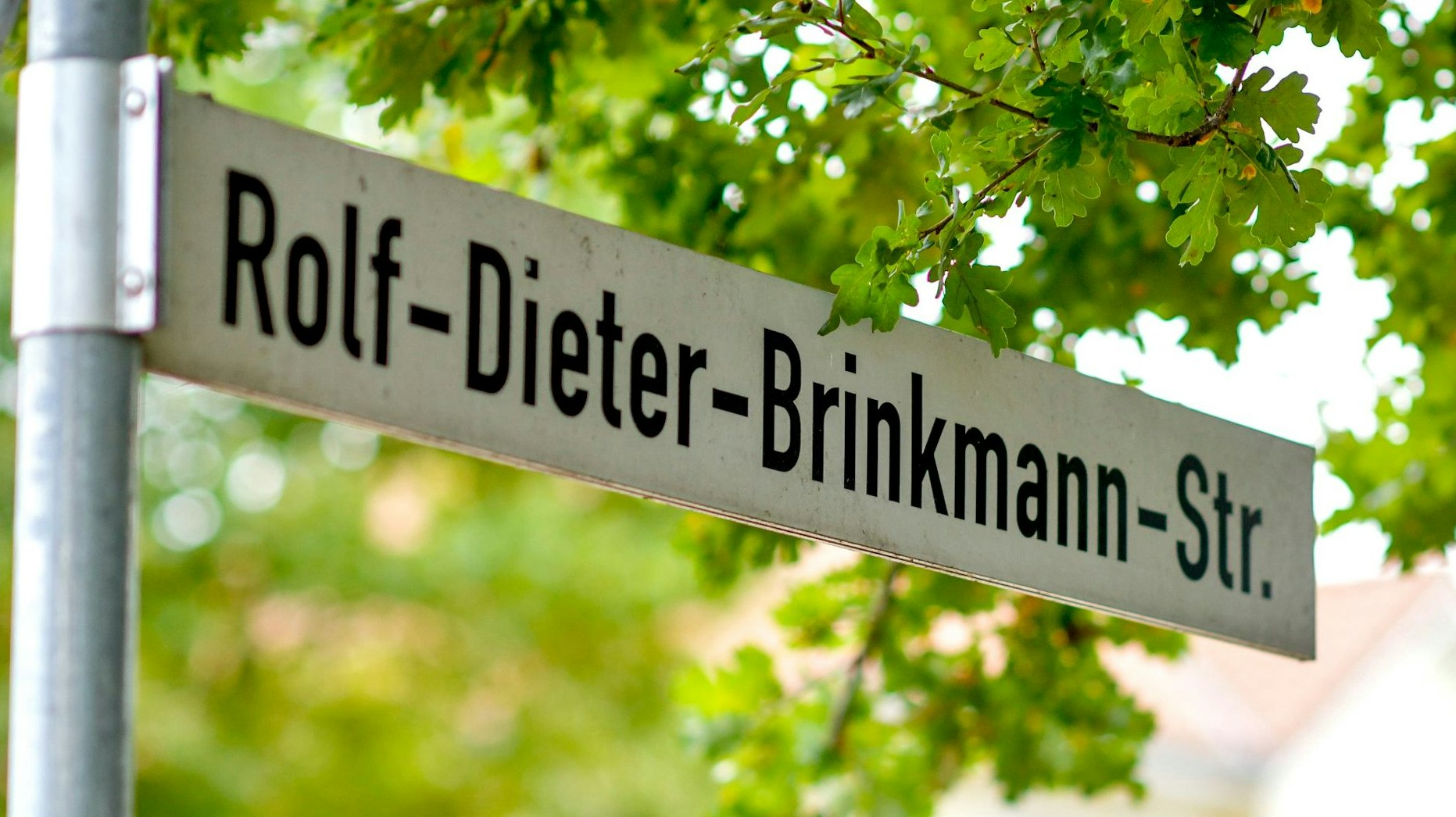 Erst verachtet, dann gewürdigt: Zu Lebzeiten hing Brinkmann in seiner Heimat der Ruf eines Nestbeschmutzers nach - zu Unrecht. 2007 wurde in Vechta eine Straße nach ihm benannt. Foto: Chowanietz