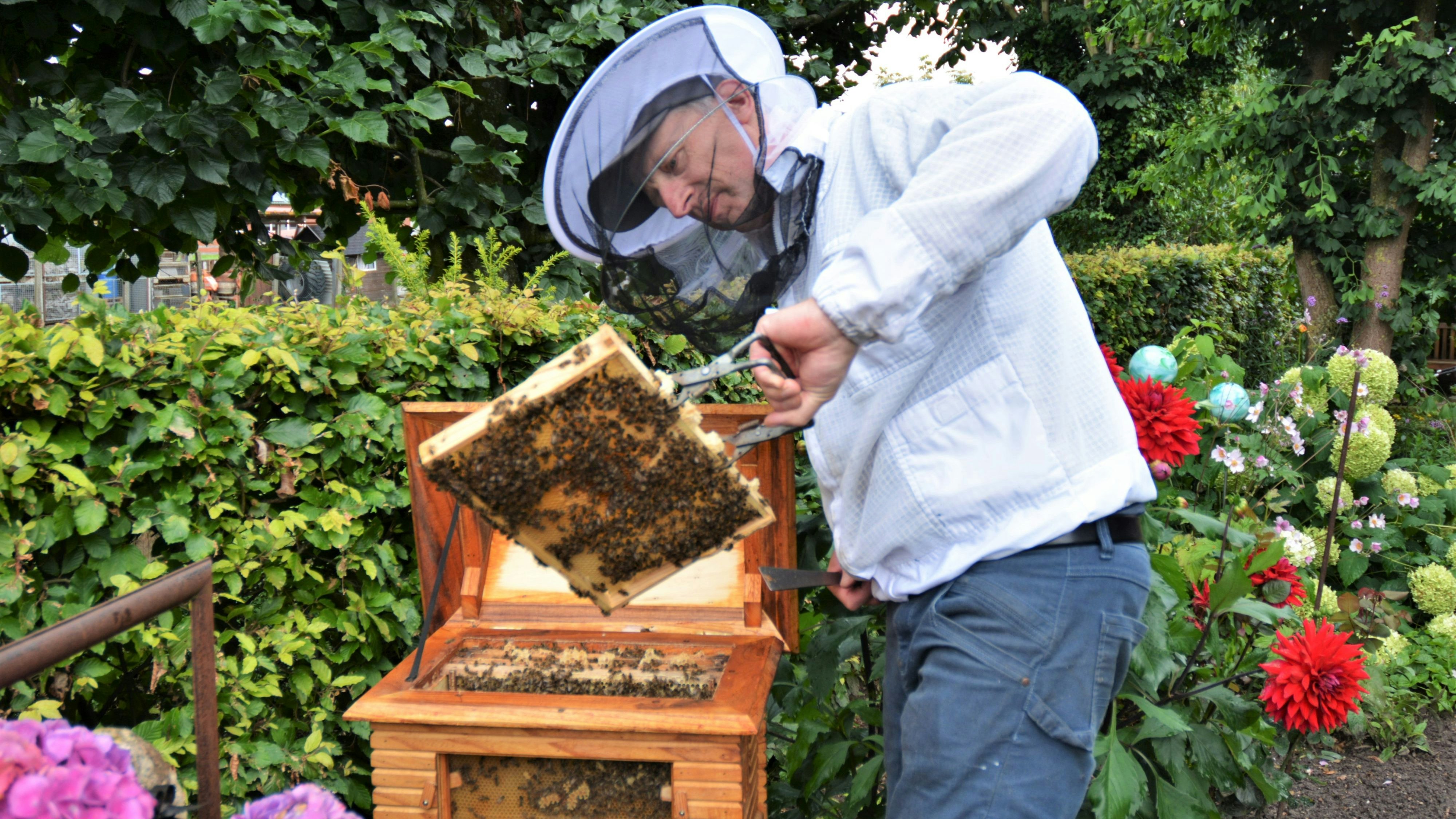 Geschäftiges Treiben: Heiner Meyerrose kümmert sich in seinem Garten in Borringhausen bei Damme um seine Bienen. Foto: E. Wenzel