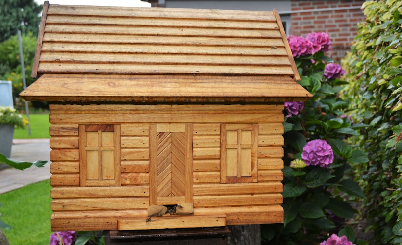 Hausbewohner: Die Bienen von Heiner Meyerrose haben ein ganz besonderes Quartier. Foto: E. Wenzel