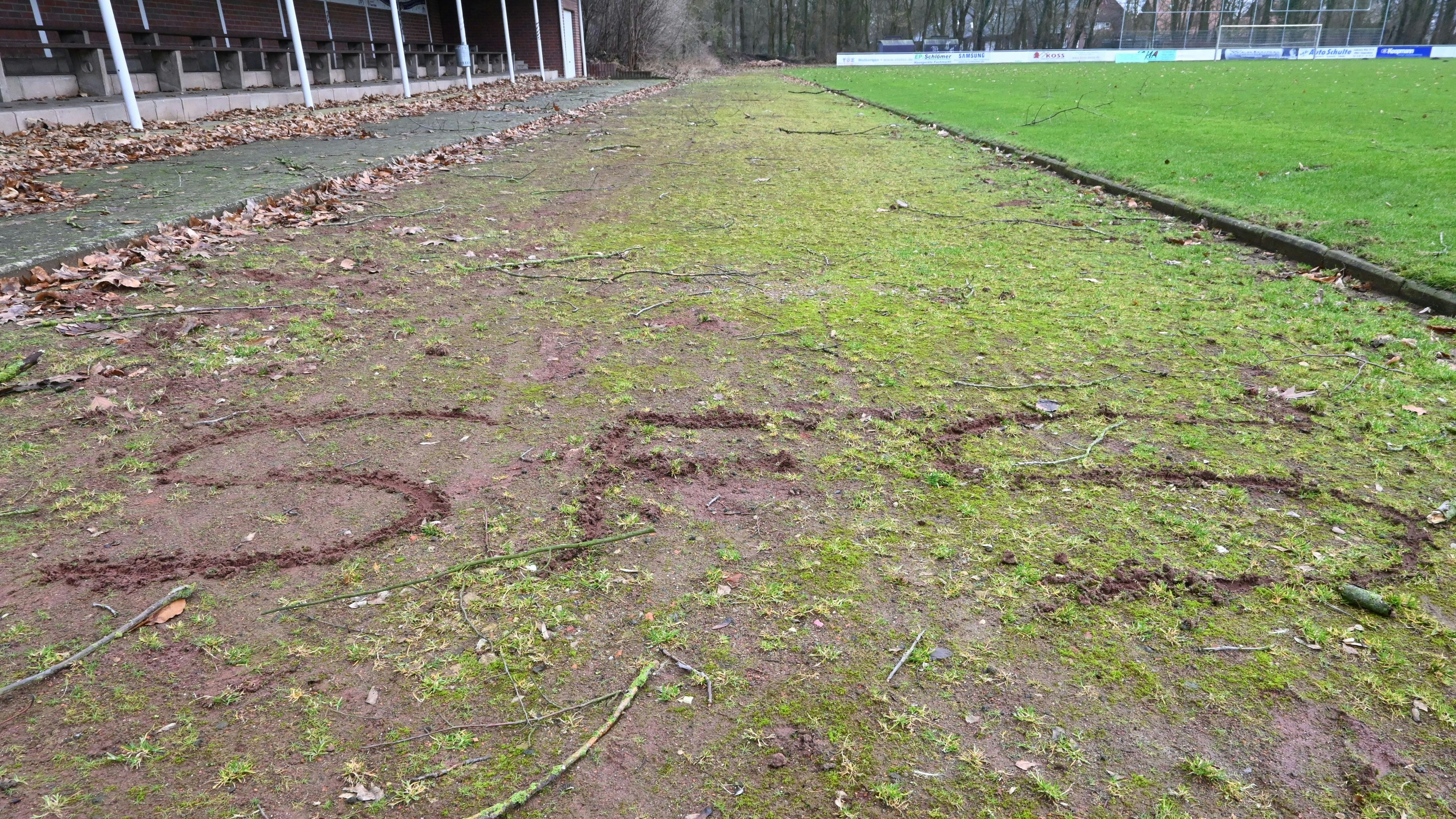 Mehr grün als rot: Die Aschenbahn vor der Tribüne der Sportfreunde Sevelten hat einen gewissen Pflegeaufwand. Foto: Thomas Vorwerk