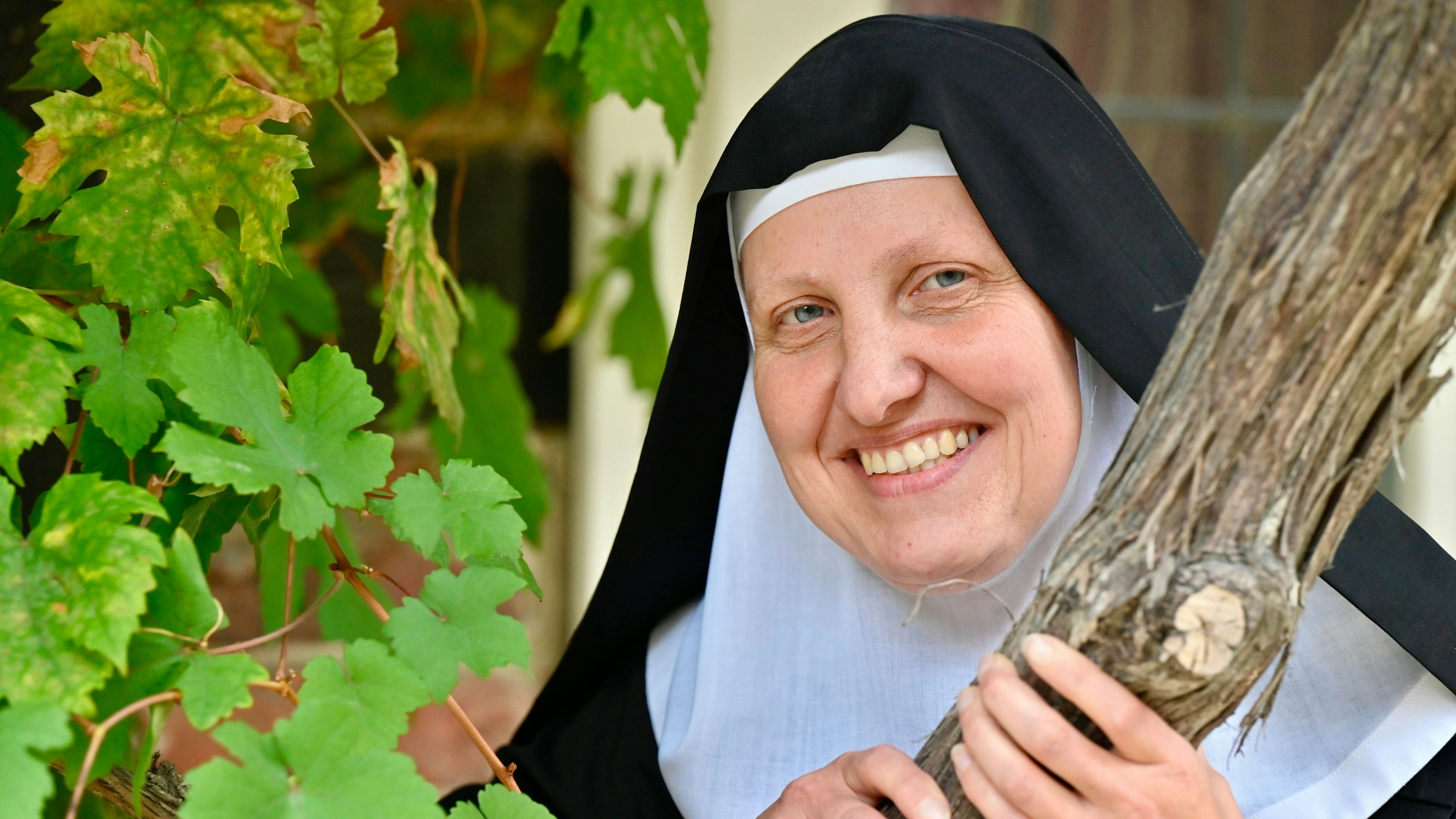 Portait an einer Weinrebe des Klosters: Schwester Johanna Wiese. Foto: M. Niehues