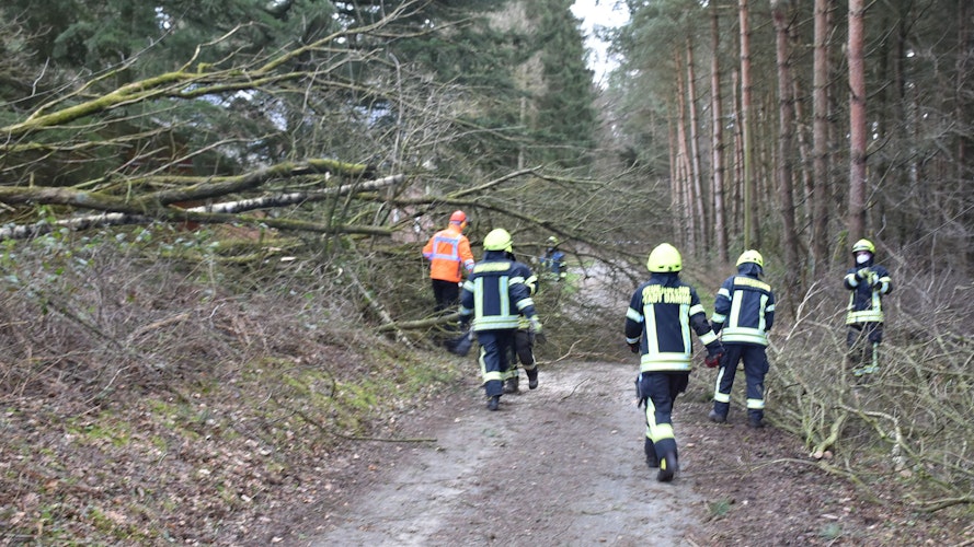 An der Straße Zum Schacht beseitigten Dammer Feuerwehrleute umgestürzte Bäume. Foto: Lammert