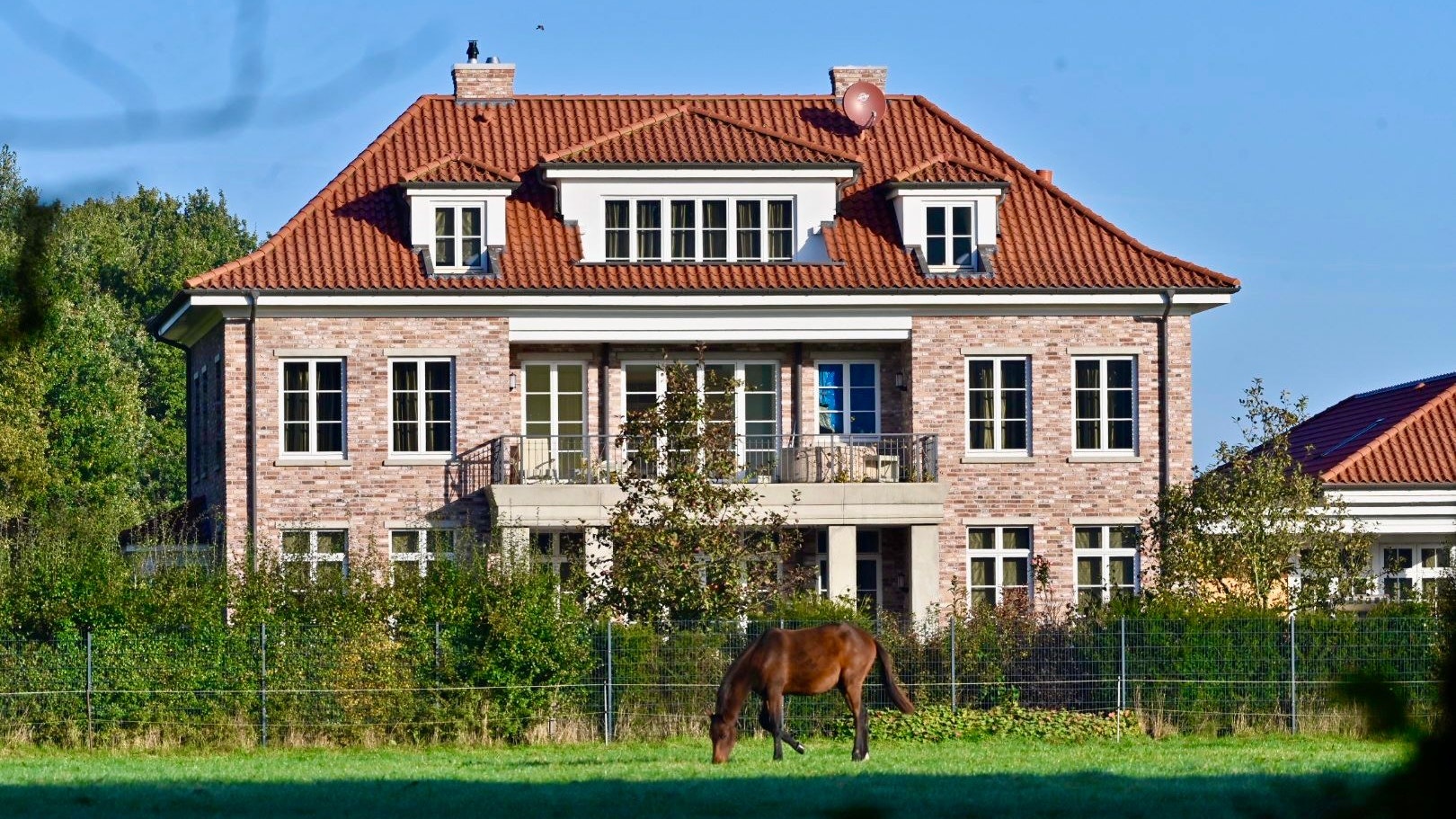 Das Pferd gehört nicht zum Angebot: Wer die Villa kauft, muss aber mindestens eines auf dem Grundstück halten. Foto: M. Niehues