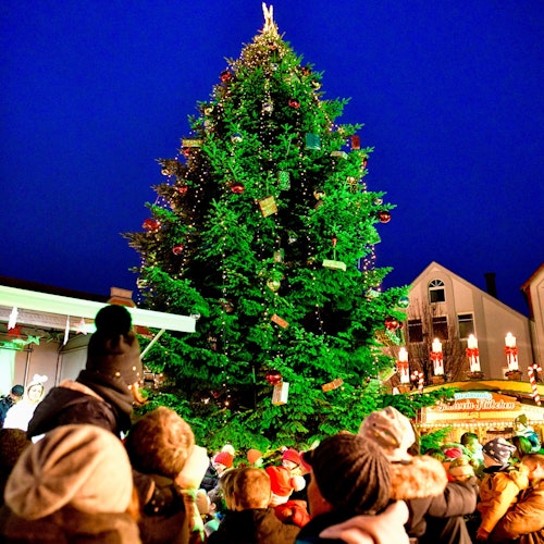 In der Mitte des Markts leuchtet bereits auch der 12 Meter hohe, geschmückte Weihnachtsbaum. Foto: Chowanietz