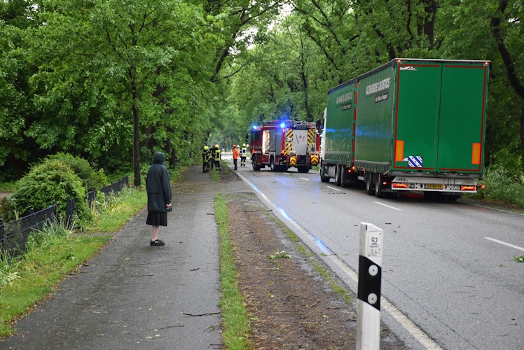 Dicht: Wegen umgestürzter Bäume ist die Hunteburger Straße in Damme gesperrt. Foto: Lammert