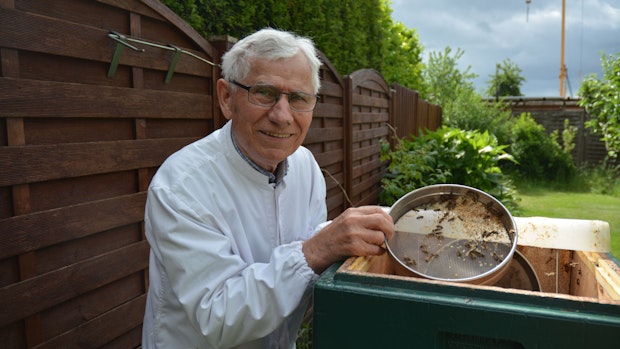 Seine Bienen begleiten Arnold Lisowski schon seit 70 Jahren