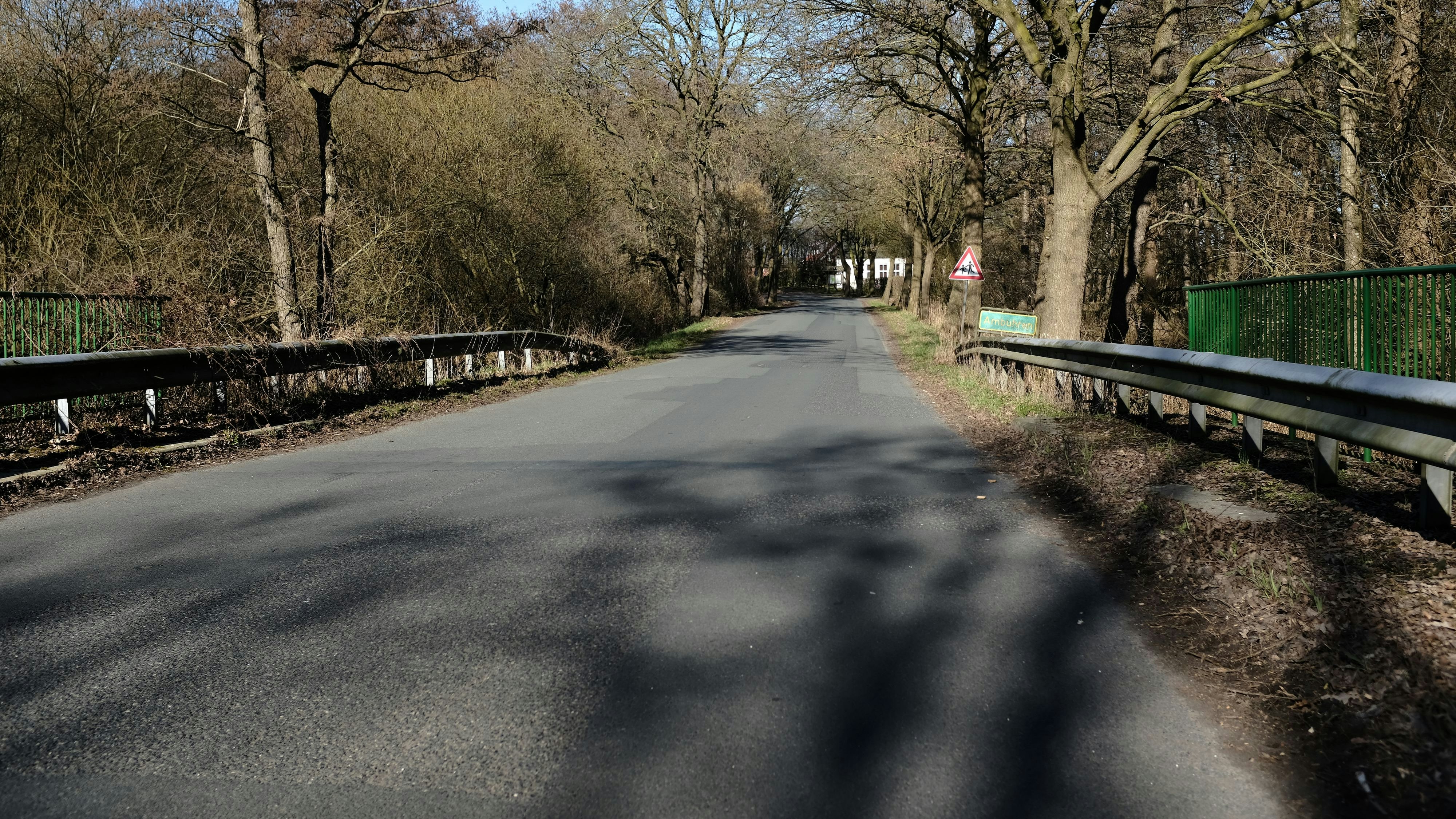 49 Bäume sollen weichen: Der geplante Radweg soll 800 Meter lang werden und östlich des Ambührener Weges verlaufen. Foto: Niemeyer