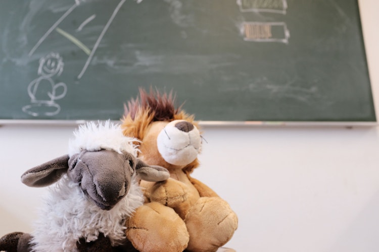 Schaf oder Löwe? Die Schüler der Albert-Schweitzer-Schule sollen lernen, Konflikte gewaltfrei zu lösen. Foto: Niemeyer