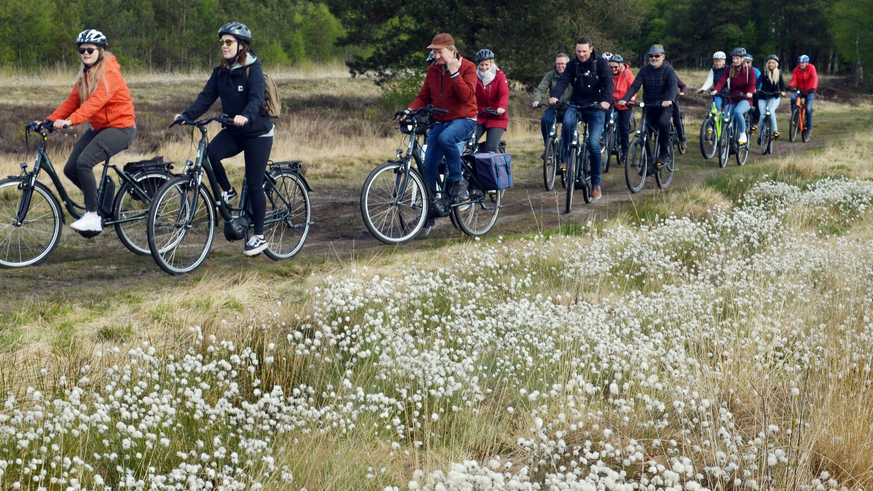 „So schmeckt Heimat“: Zu den landschaftlichen Attraktionen der neuen E-Bike-Tagestour gehört die Fahrt durchs Hahnenmoor, das im Mai durch die Wollgrasblüte ein eindrucksvolles Erlebnis ist. Foto: W. Siemer