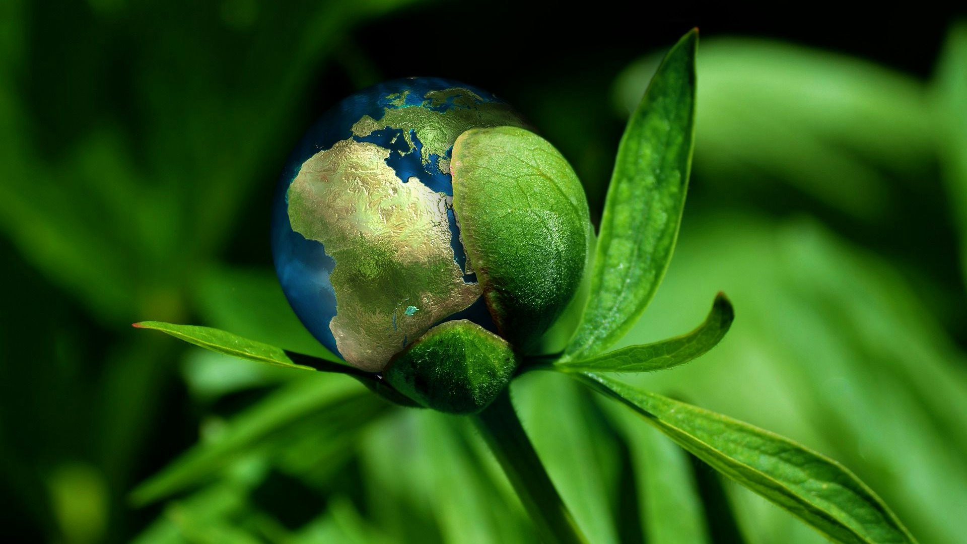 Beim Thema Nachhaltigkeit global denken? So macht es zumindest Holdorfs Nachbarkommune Bersenbrück. Foto: Pixabay
