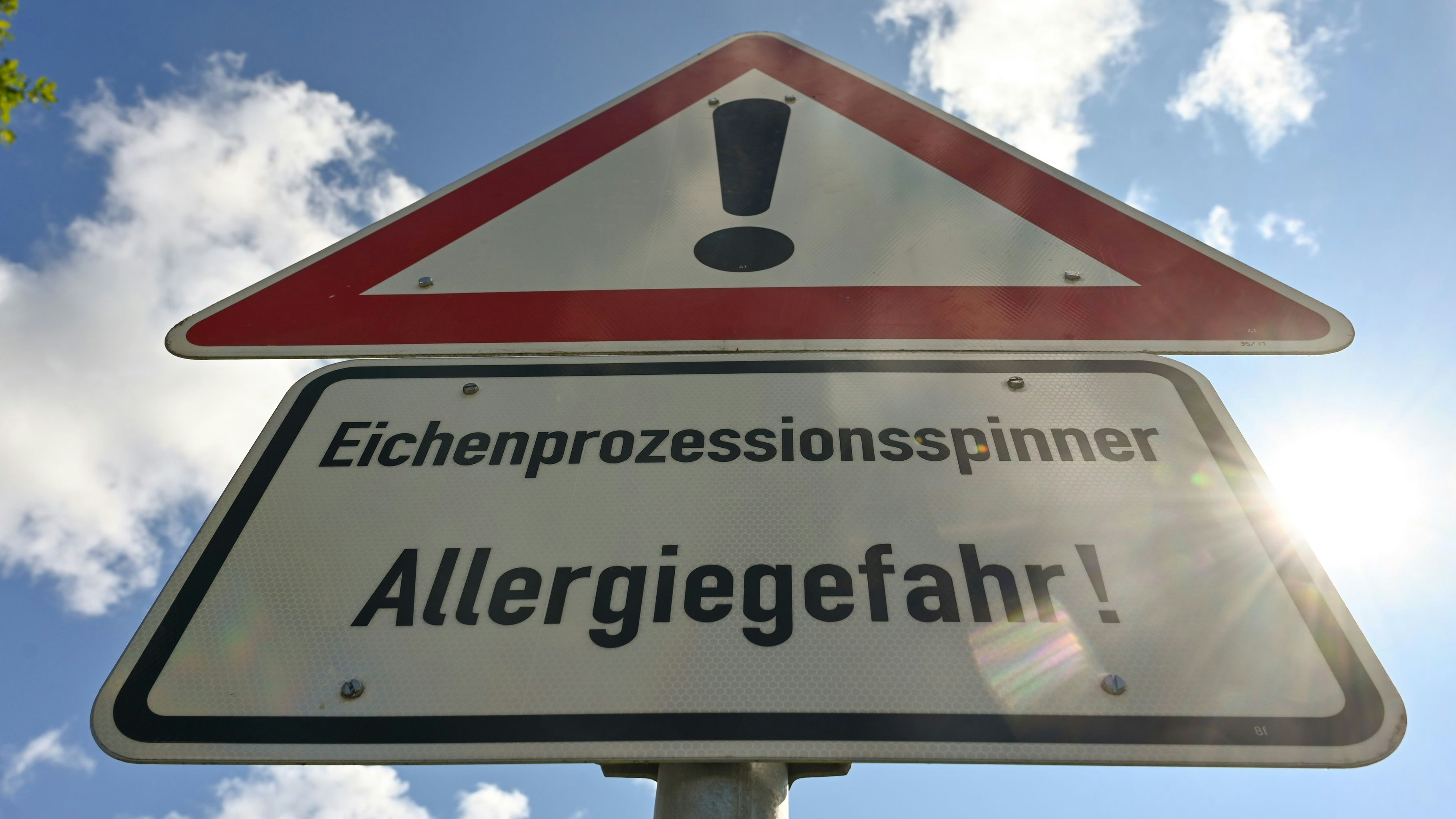 Vorsicht, Gefahr: Der Eichenprozessionsspinner kommt auch im Oldenburger Münsterland vor. Foto: Hermes
