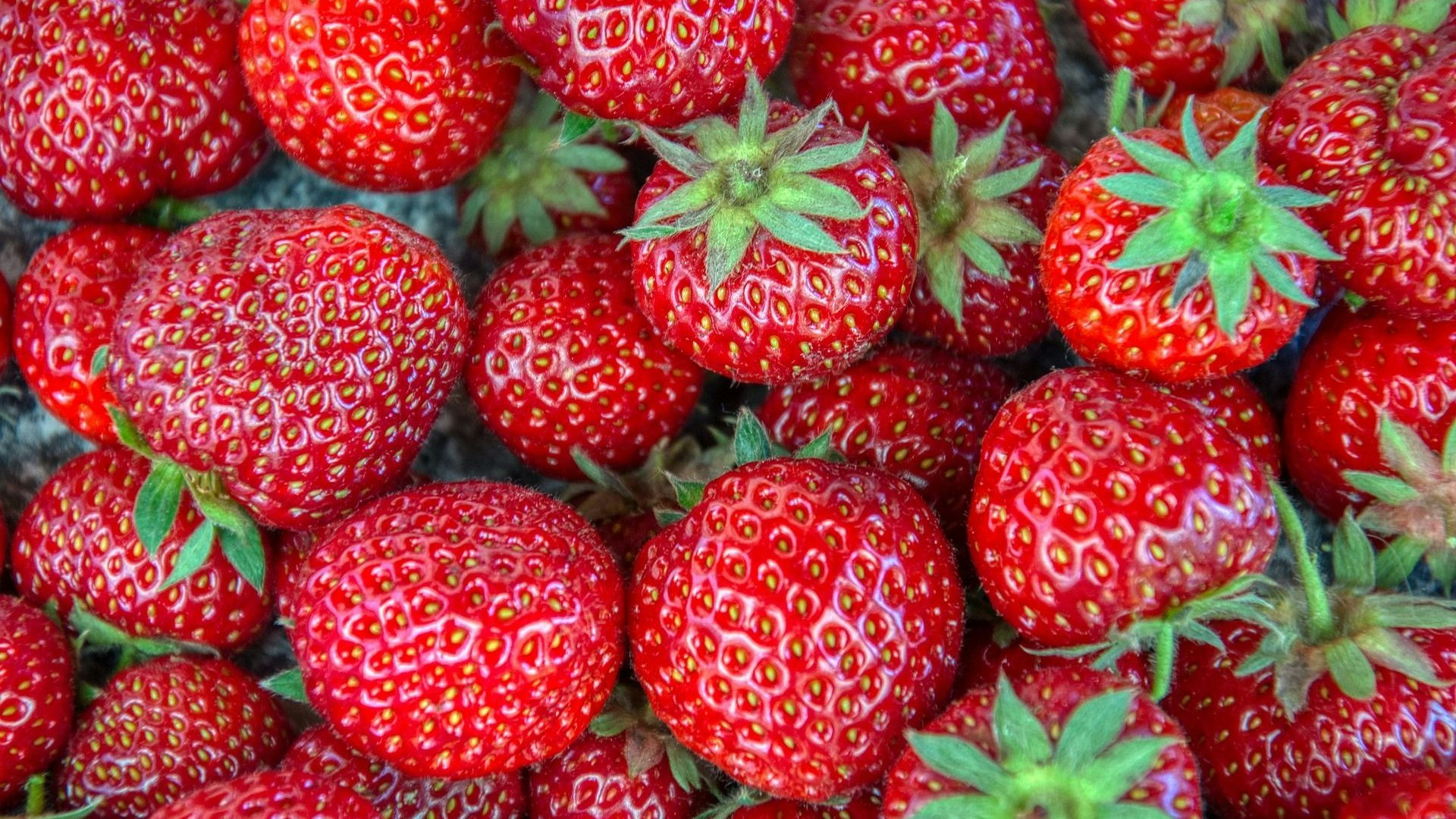 In Hofläden und an Marktständen hat die Zeit der heimischen Erdbeeren begonnen: Immer öfter stehen in diesen Tagen die roten, saftigen Früchte aus niedersächsischer Produktion zum Verkauf. Foto: Lässer/Pixabay