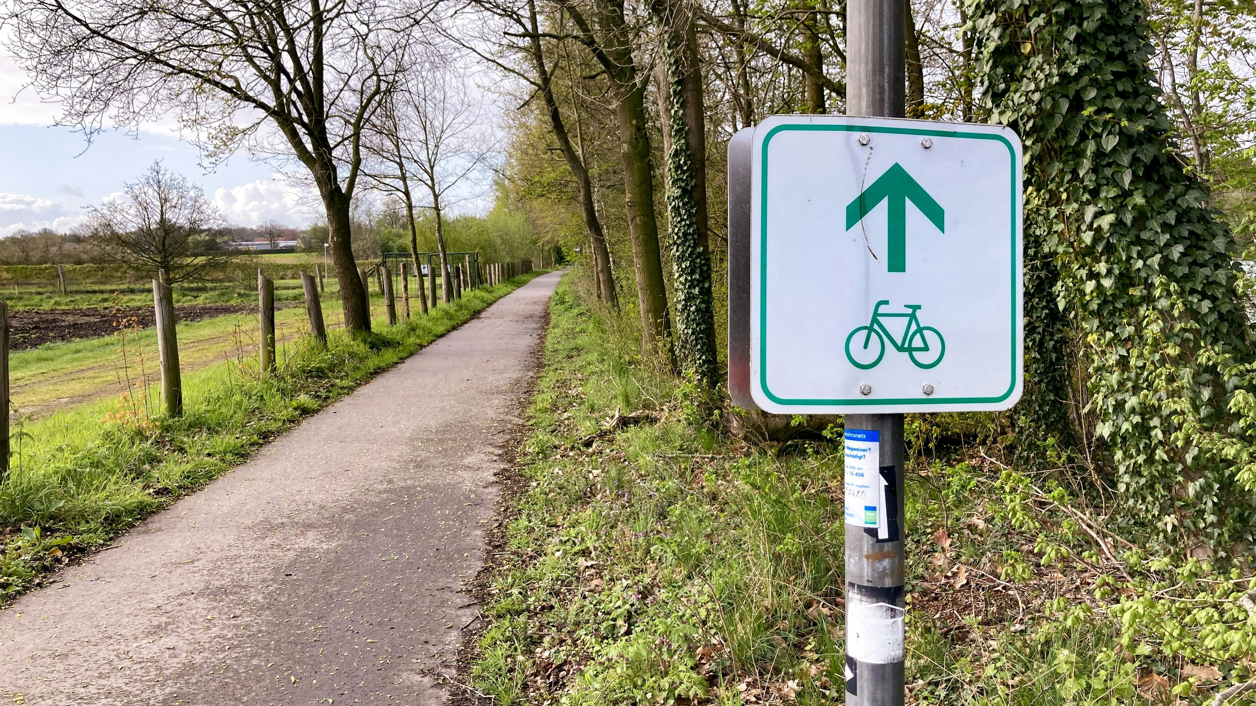Radfahren im Oldenburger Münsterland: Die Teilnehmer konnten sich über eine Online-Befragung einbringen. Foto: Hermes
