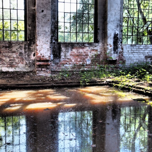 Spiegelung: Zu den Arbeiten, die in der Rathaus-Galerie gezeigt werden, gehört auch diese Aufnahme einer verlassenen Fabrik in der Annaburger Heide. Foto: Petra Breher