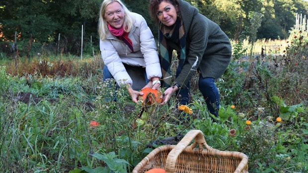 Feier der ersten Ernte: Gartenprojekt beim Gut Altenoythe schafft Gemeinschaft