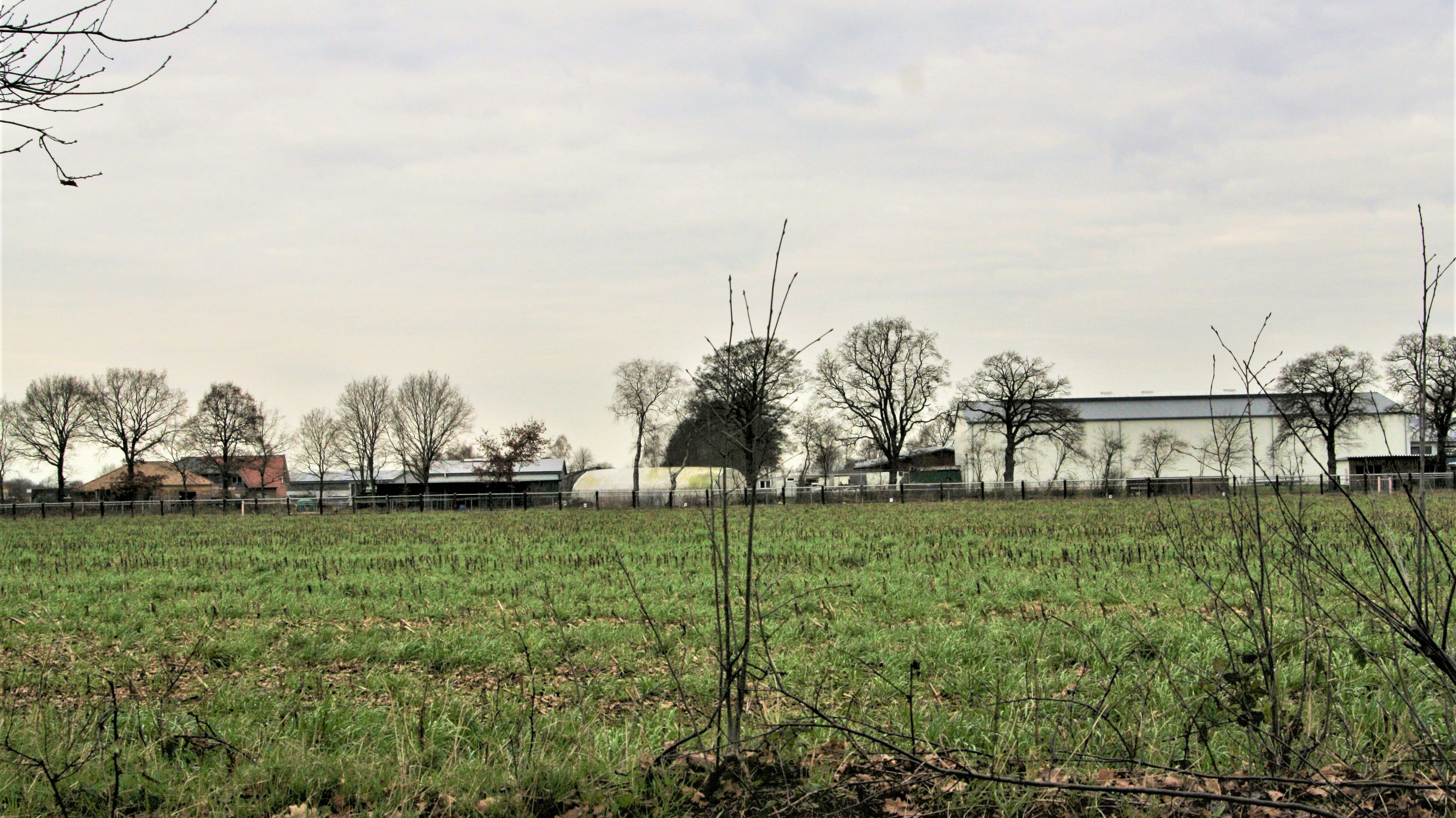 Aus Acker- wird Gewerbeland: In Petersdorf entsteht auf einer Fläche von 1,2 Hektar ein weiteres Gewerbegebiet. Der Landkreis fördert die Erschließung mit 25 Prozent der Kosten. Foto: Pille