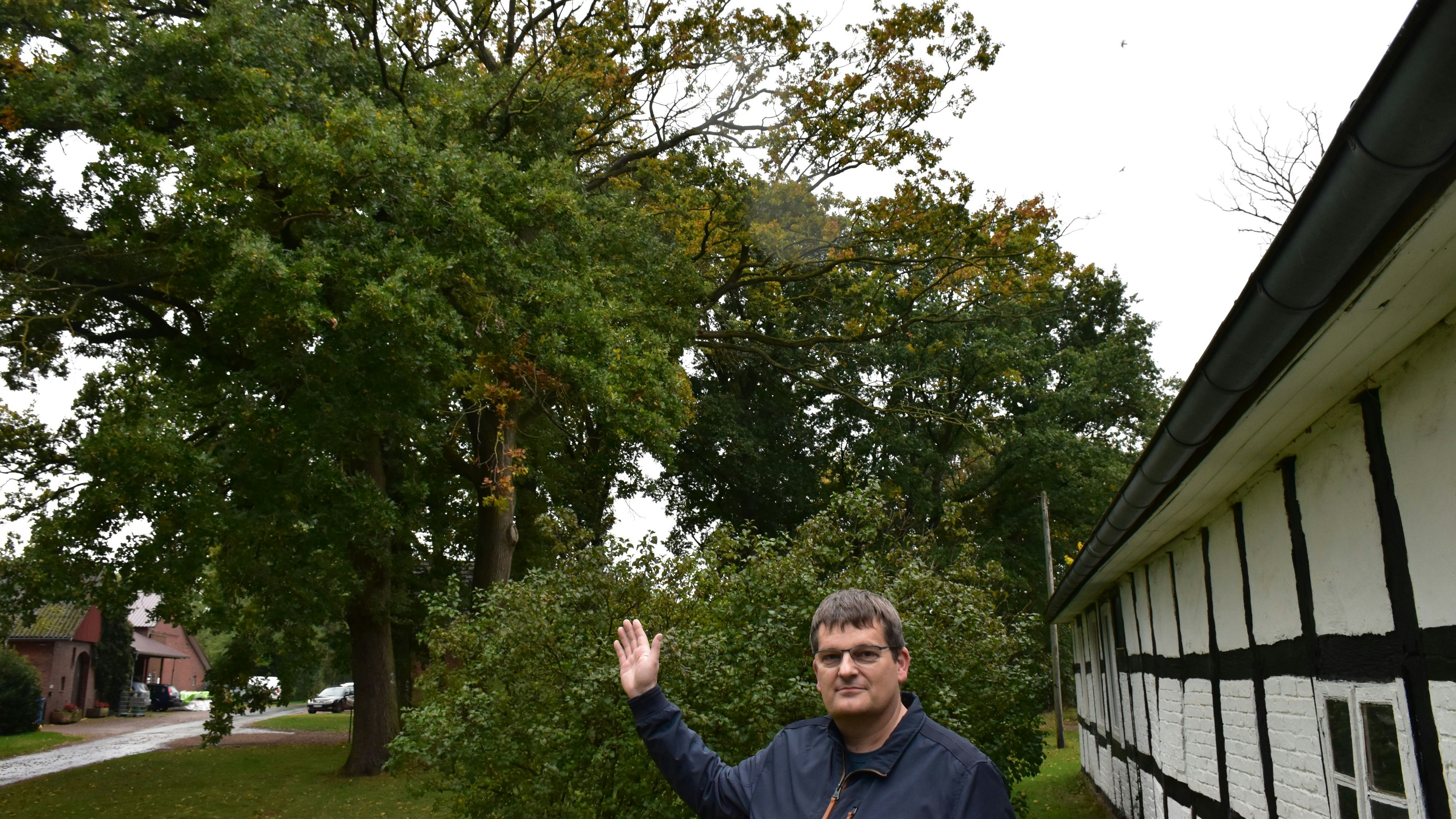 Wenn Bäume sterben: Franz Greve findet, dass gegen die zunehmenden Schäden&nbsp; in der Gemeinde Holdorf – wie hier auf seinem Grundstück in der Straße auf dem Boll im Oktober 2020 – schleunigst etwas unternommen werden muss. Foto: Böckmann