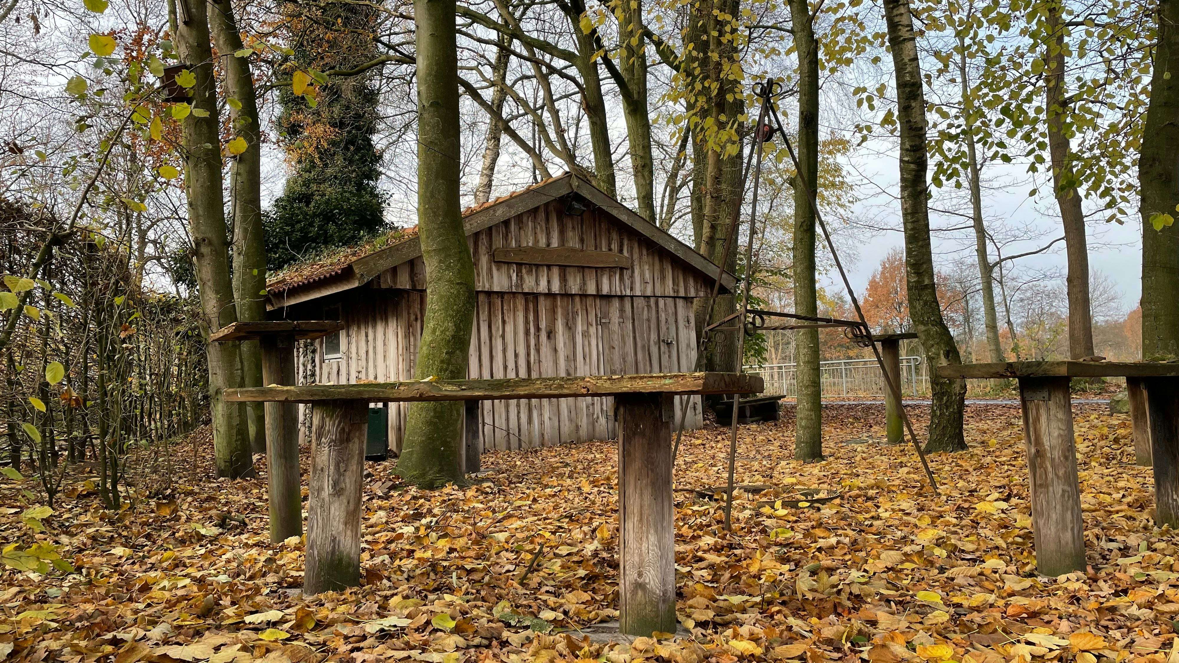 Priorität A1: Die alte Grillhütte in Schwaneburgermoor soll im Rahmen der Dorfentwicklung reaktiviert und zu einem Treffpunkt ausgebaut werden. Foto: Stix