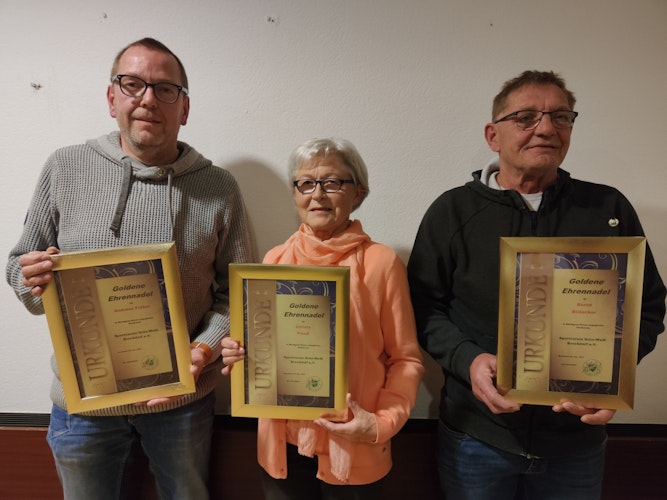 Goldene Ehrennadel: Andreas Fröhle (von links), Christa Preuß und Bernd Bödecker wurden für ihr ehrenamtliches Engagement geehrt. Foto: Röttgers