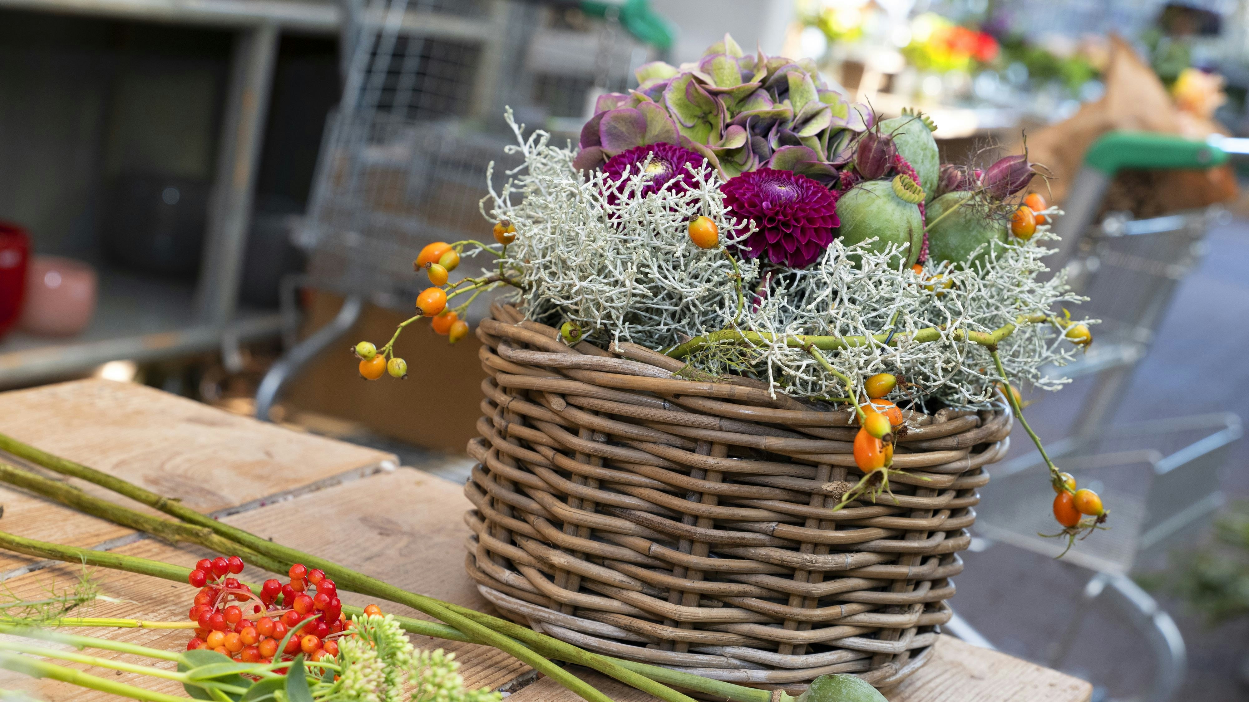Auf jedem Gartentisch ein Hingucker: Mit farbenfrohen Pflanzen geht es in den Herbst. Foto: Tanja Schulte-Saß