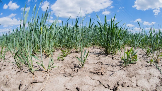 Bericht: Dürre hat Folgen für Grundwasser