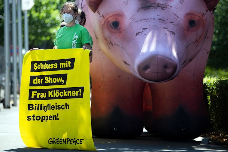 Greenpeace-Aktivisten protestierten am Rande des Branchengesprächs in Düsseldorf. Foto: dpa