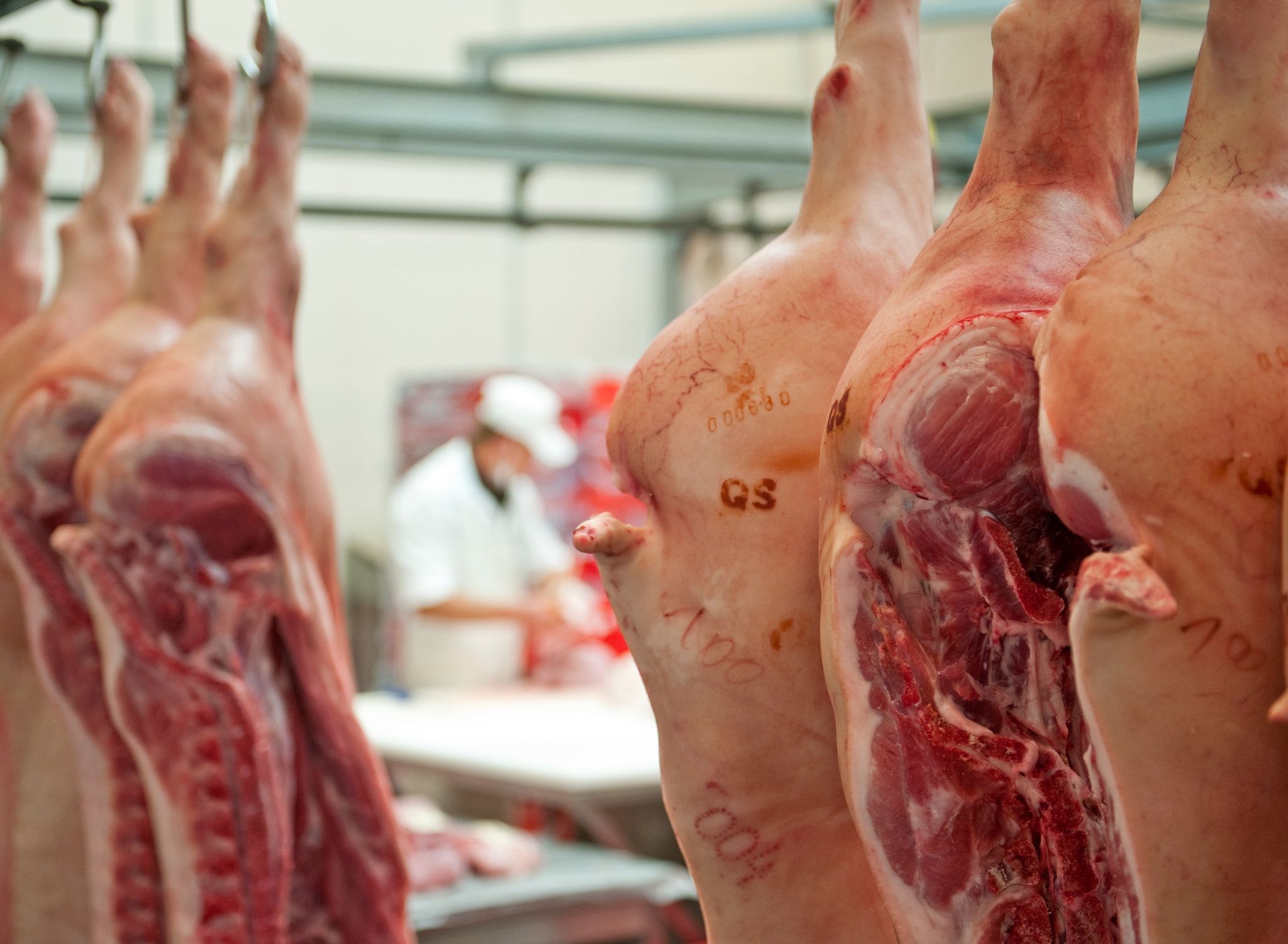 Die deutsche Fleischwirtschaft warnt beim geplanten&nbsp; Verbot von Werkverträgen und Leiharbeit vor höheren Kosten. Symbolfoto: dpa