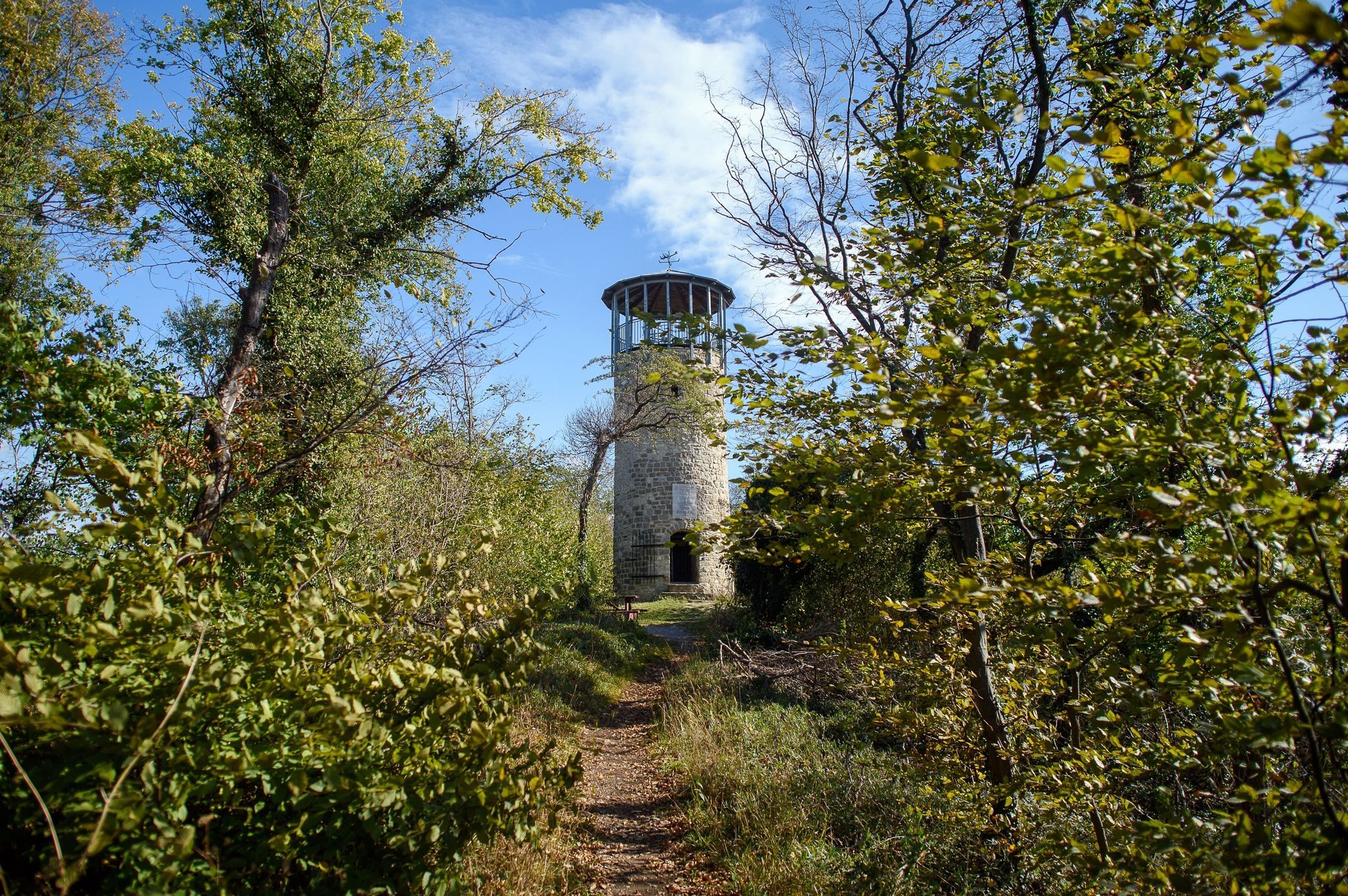 Der Austbergturm, an dem sich die Stempelstelle 83 der «Harzer Wandernadel» befindet. Foto: Klaus-Dietmar Gabbert / dpa-Zentralbild / dpa