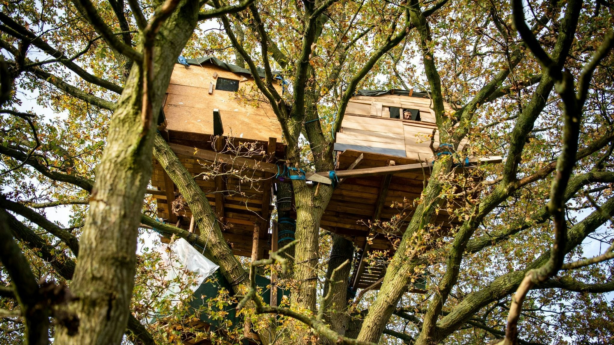Neben dem Protestcamp wurden Baumhäuser gebaut. Foto: Schuldt