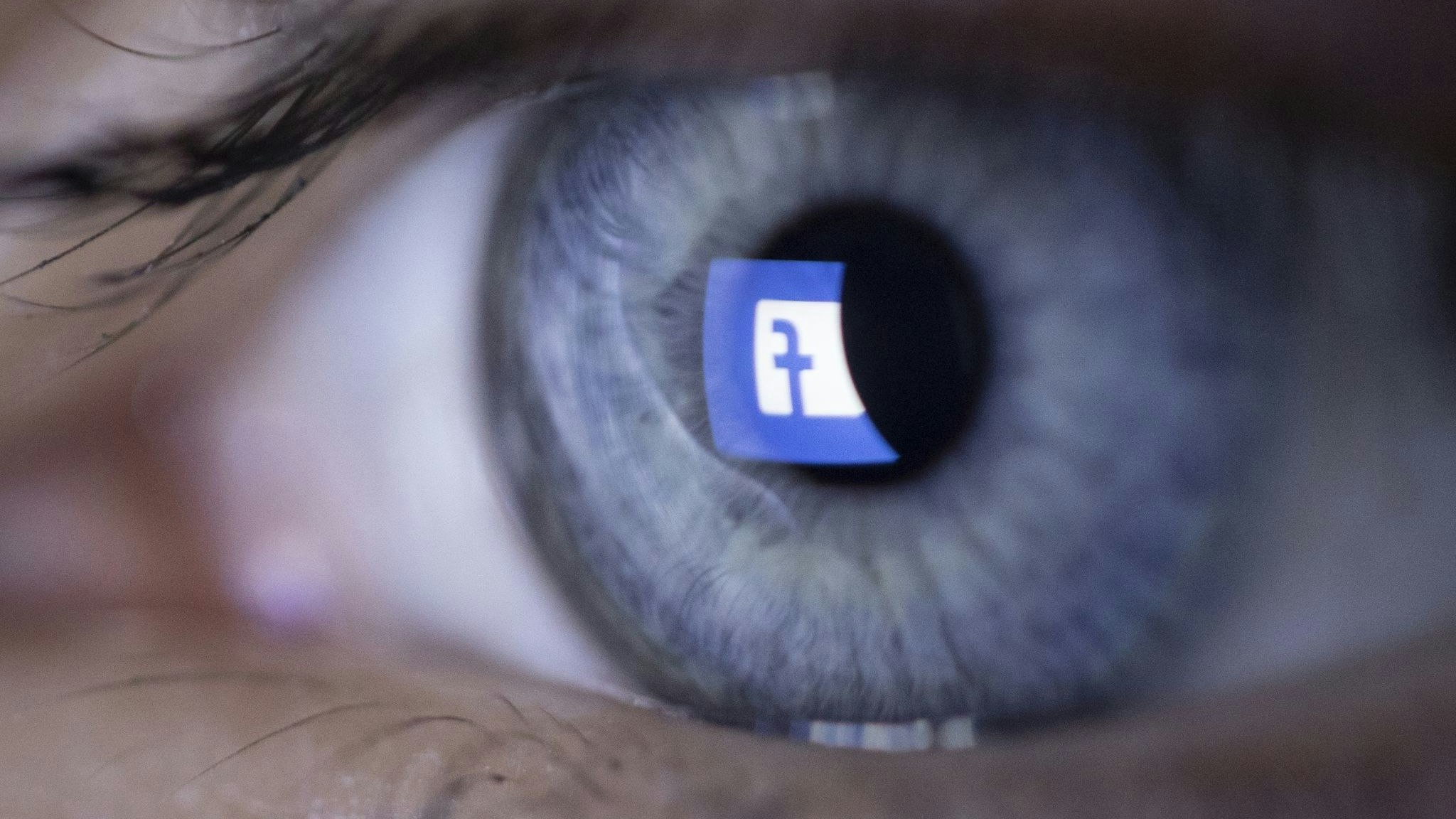 Facebook selbst hat mehrere russische Medien-Seiten bei Facebook abgeschaltet. Foto: dpa/Bally
