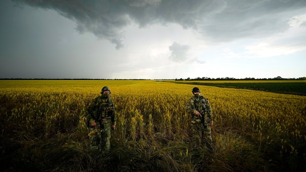 Bewegung bei Verhandlungen zu russischer Getreideblockade