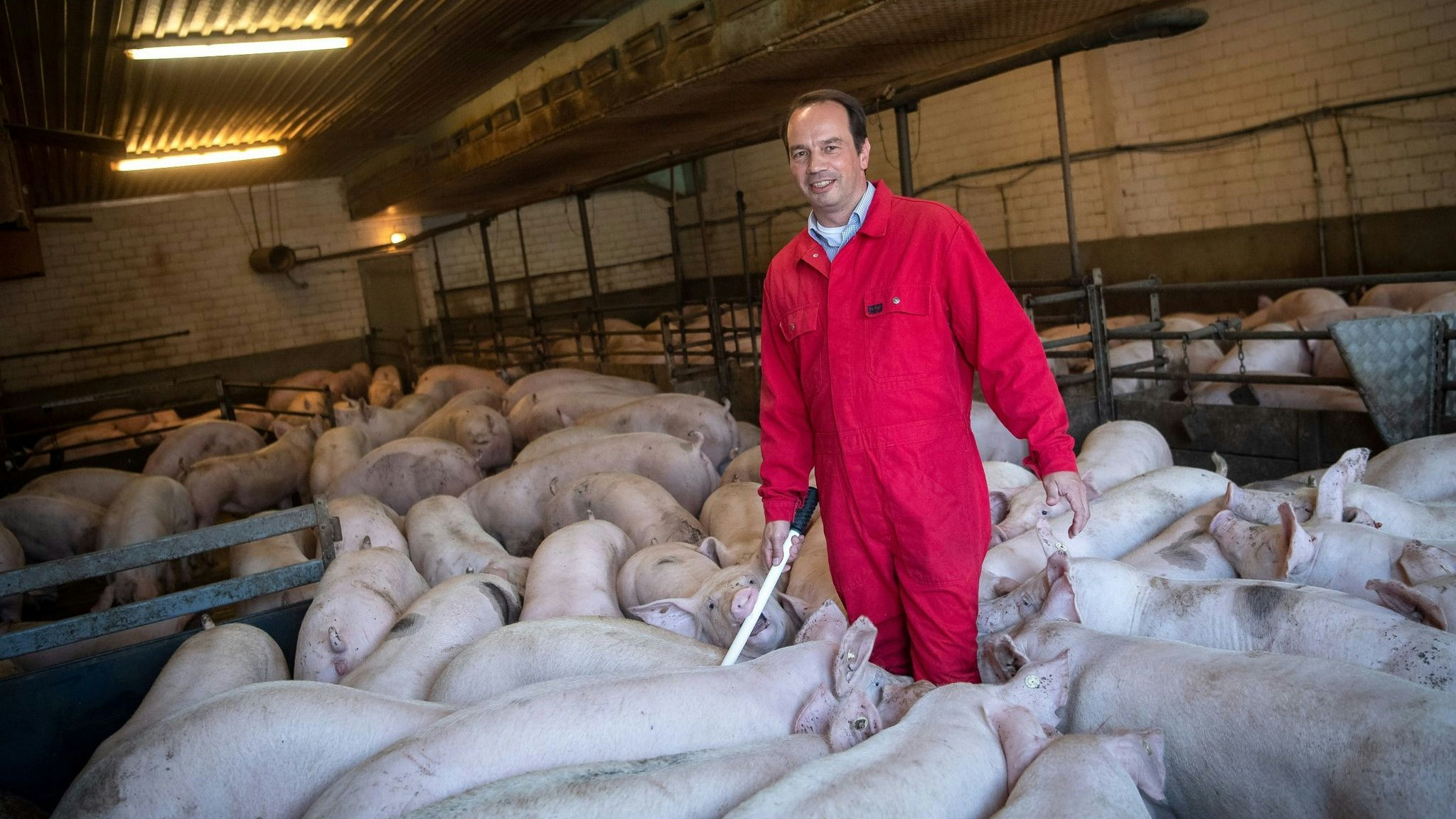 Landwirt Jörn Ehlers steht in einem Schweinestall. Foto: Sina Schuldt / dpa