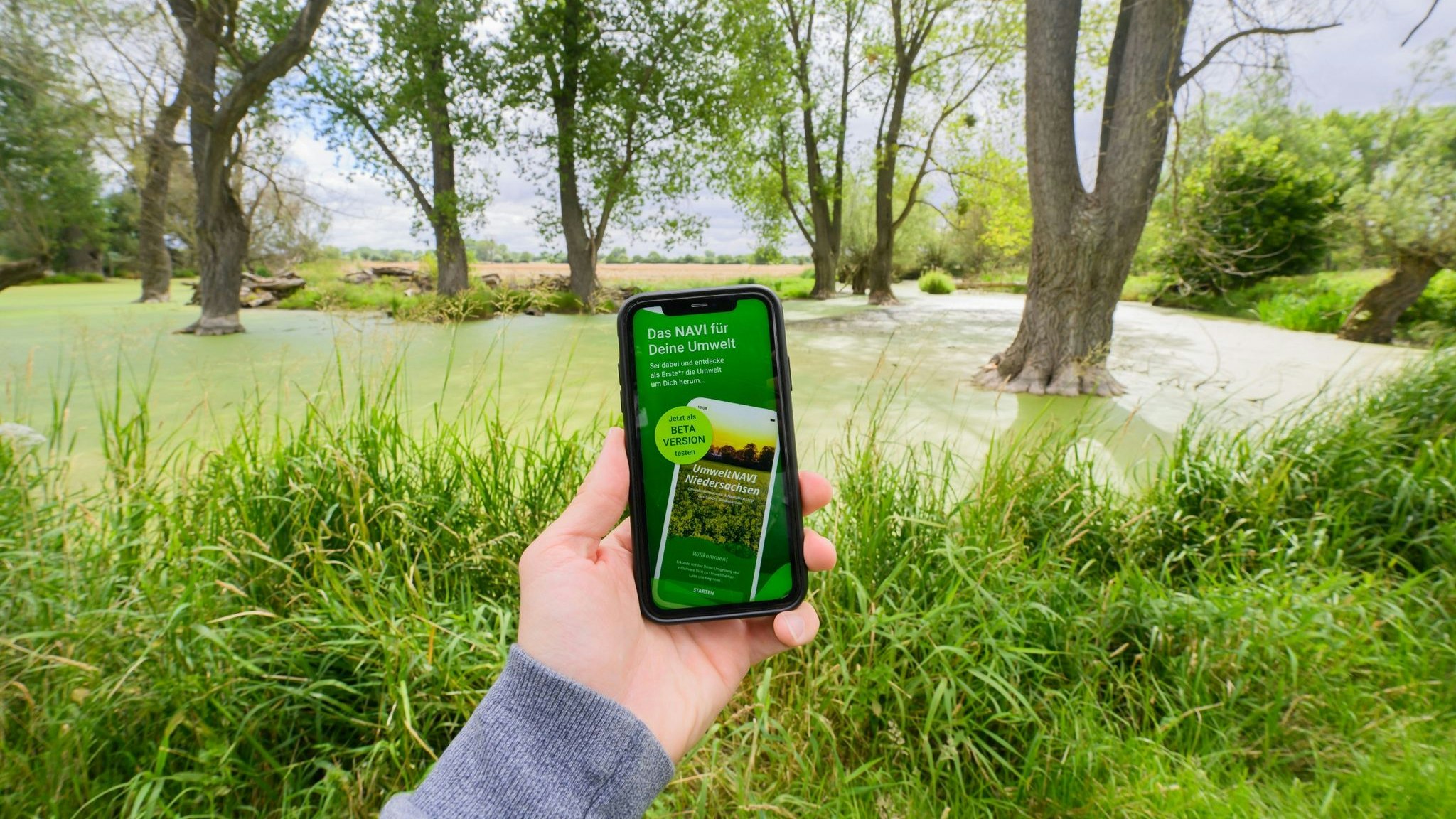 Auf einem Smartphonedisplay ist die Beta-Version einer neuen App "UmweltNAVI Niedersachsen" zu sehen (gestellte Szene). Foto: dpa/Stratenschulte