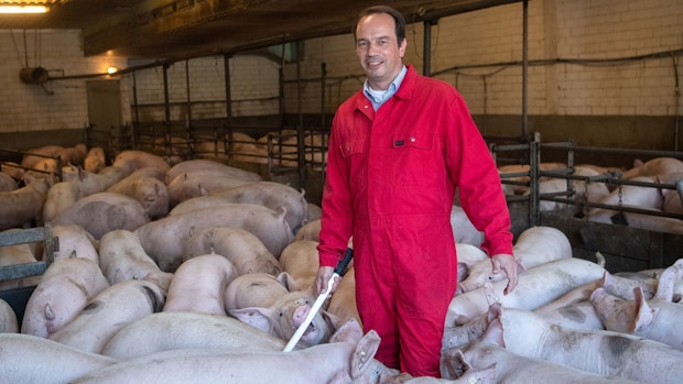 Landvolk fordert Entschädigung für Schweinepest-Ausfälle