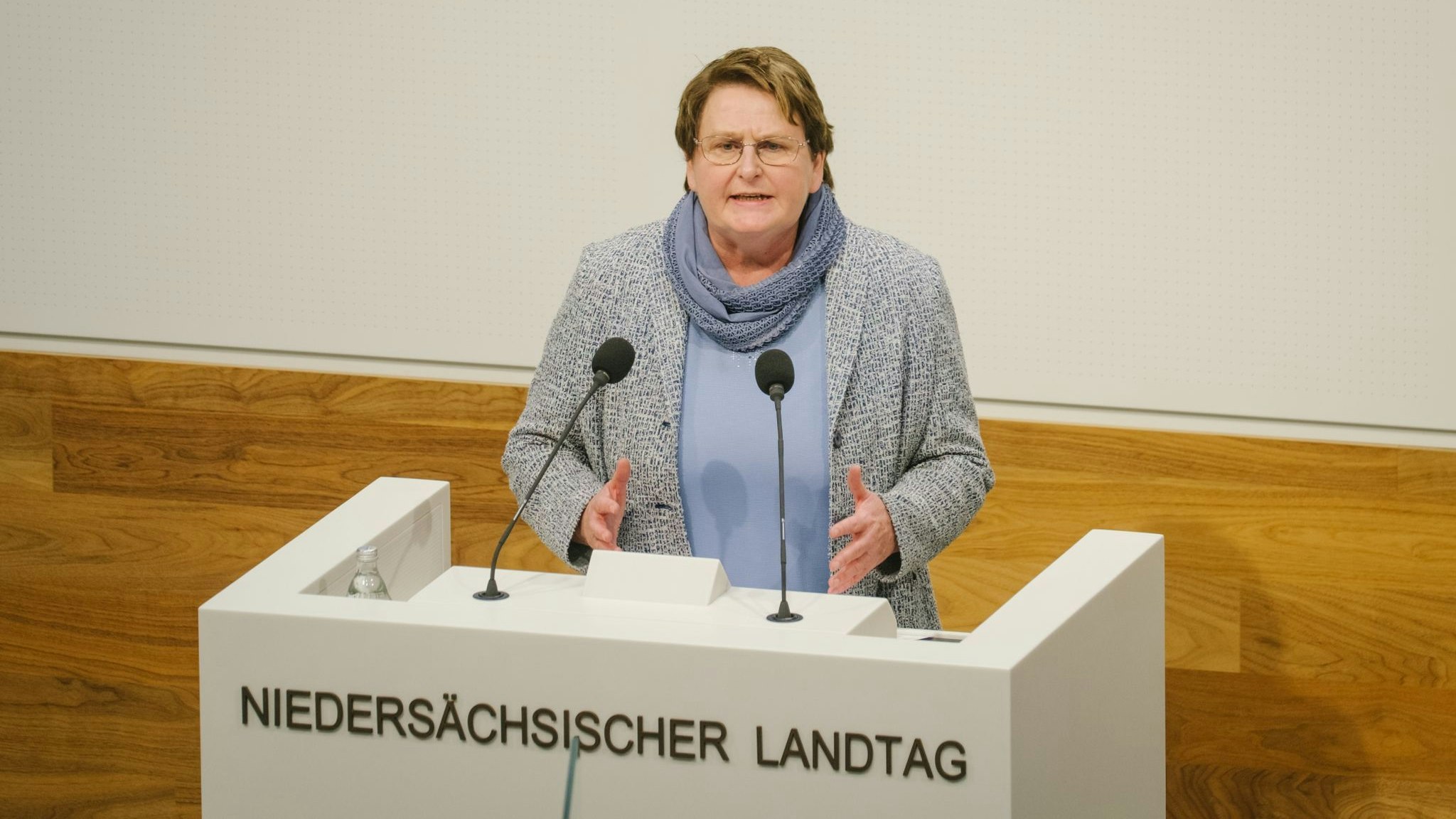 Johanne Modder, Fraktionsvorsitzende der SPD in Niedersachsen, spricht. Foto: dpa/Spata