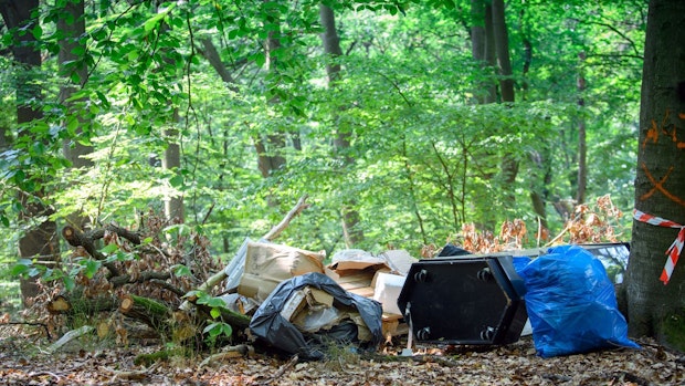 Förster klagen immer häufiger über illegale Müllentsorgung in den Wäldern