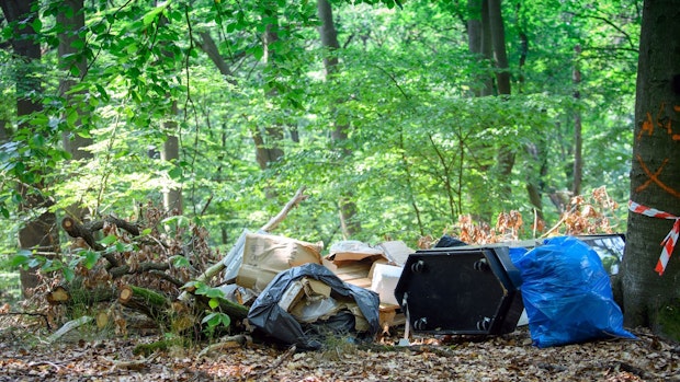 Förster klagen immer häufiger über illegale Müllentsorgung in den Wäldern