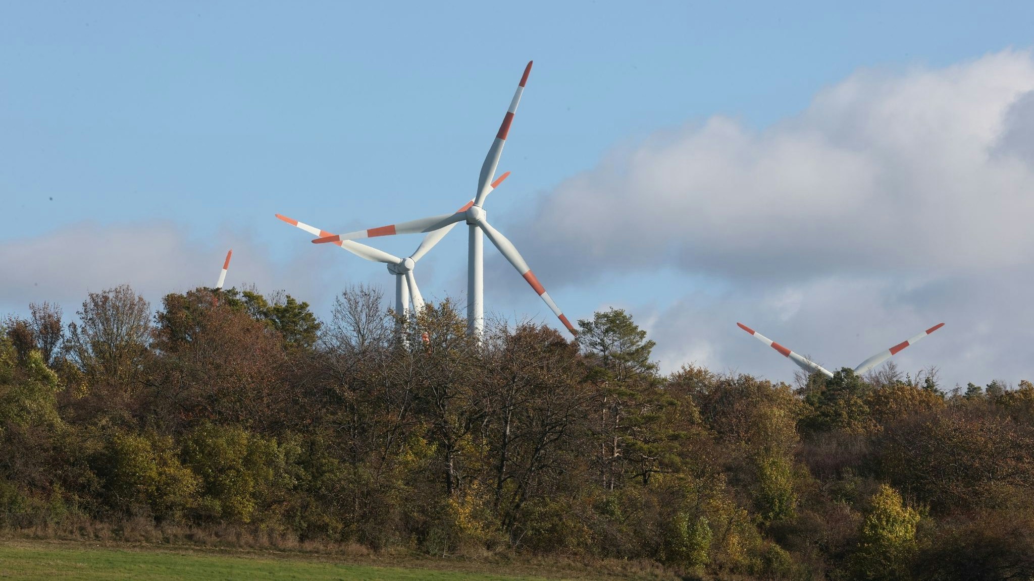 Windkrafträder stehen auf einem Feld bei Bucha in Thüringen. Foto: dpa/Schakow