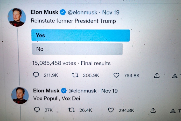 Abstimmung: Elon Musk entschied mit einer Twitter-Umfrage, den auf der Plattform gebannten Ex-Präsidenten Donald Trump wieder freizuschalten. Mittlerweile ist Trump wieder auf Twitter zugelassen.  Foto: dpa