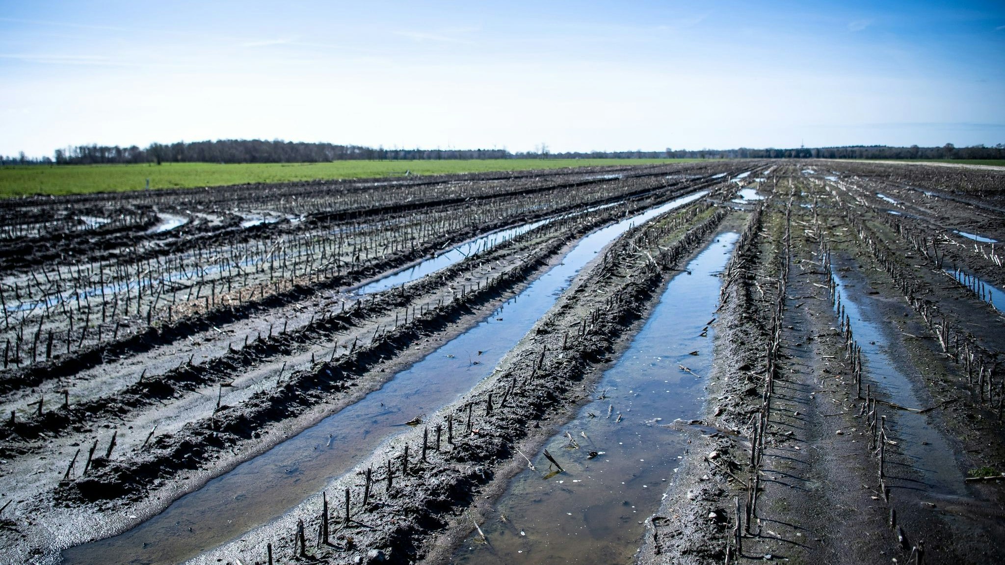 In Niedersachsen kommen knapp 20 Prozent der Treibhausgasemissionen aus den Moorböden. Foto: dpa