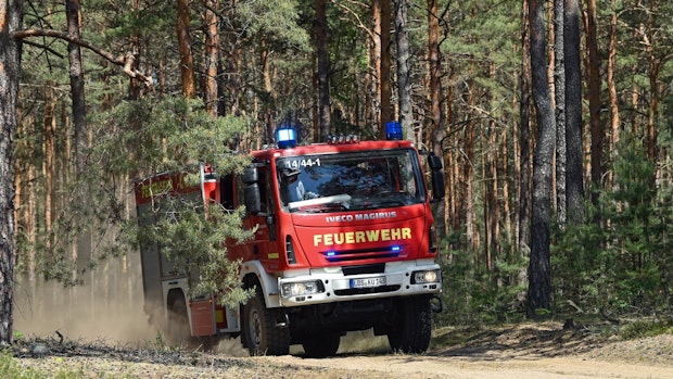 Emsland: Erneut 2000 tote Ferkel und Millionenschaden bei Brand