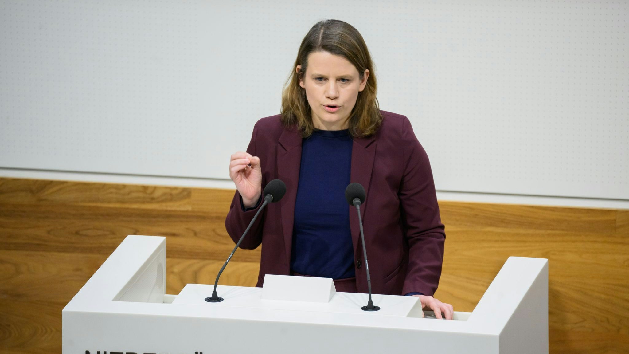 Julia Willie Hamburg (Grüne), Kultusministerin von Niedersachsen, spricht im Landtag. Foto: dpa/Stratenschulte