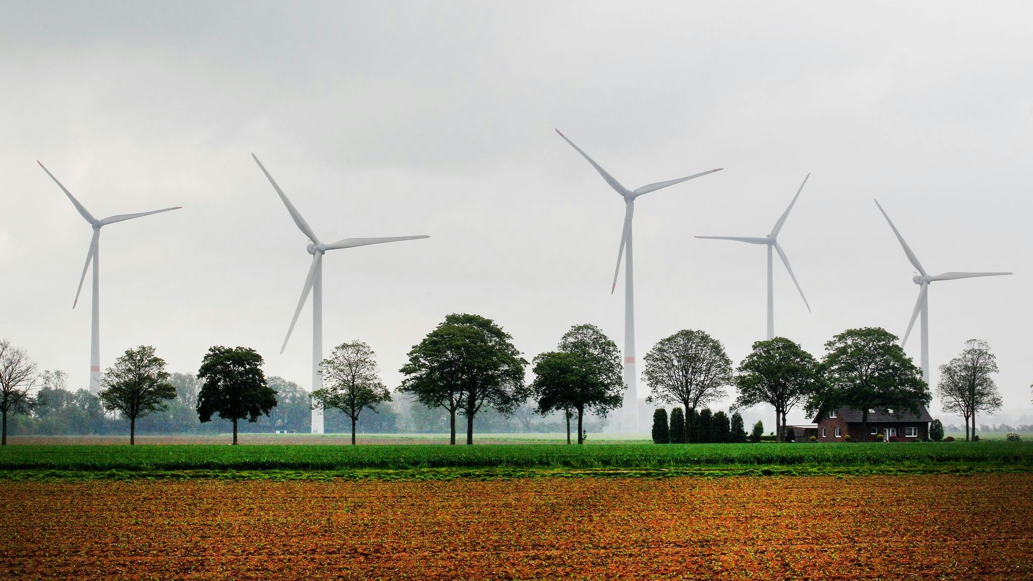 Windkraftanlagen hinter Feldern. Foto: dpa/Weihrauch