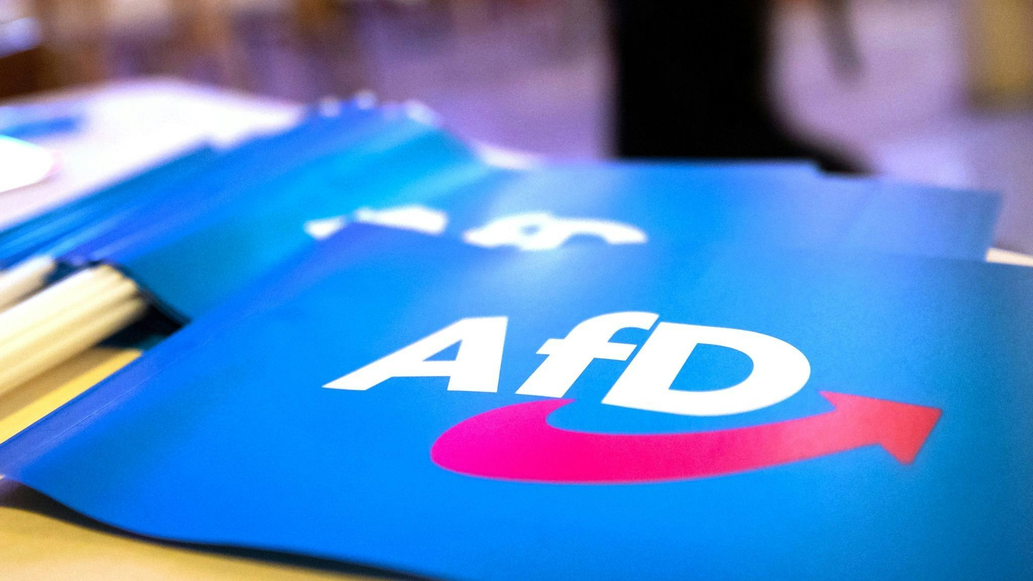 Die AfD plant, einen Kanzlerkandidaten aufzustellen. Foto: dpa/Karmann