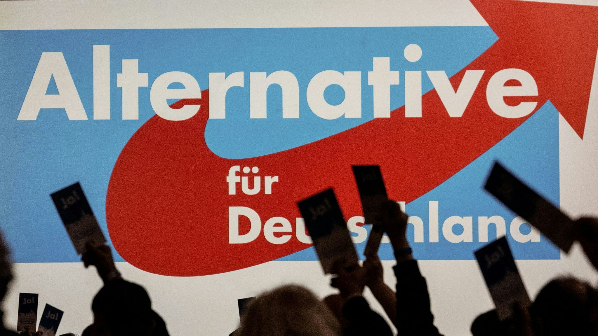 Delegierte versammeln sich zum AfD-Bundesparteitag in Magdeburg. Foto: dpa/Pförtner