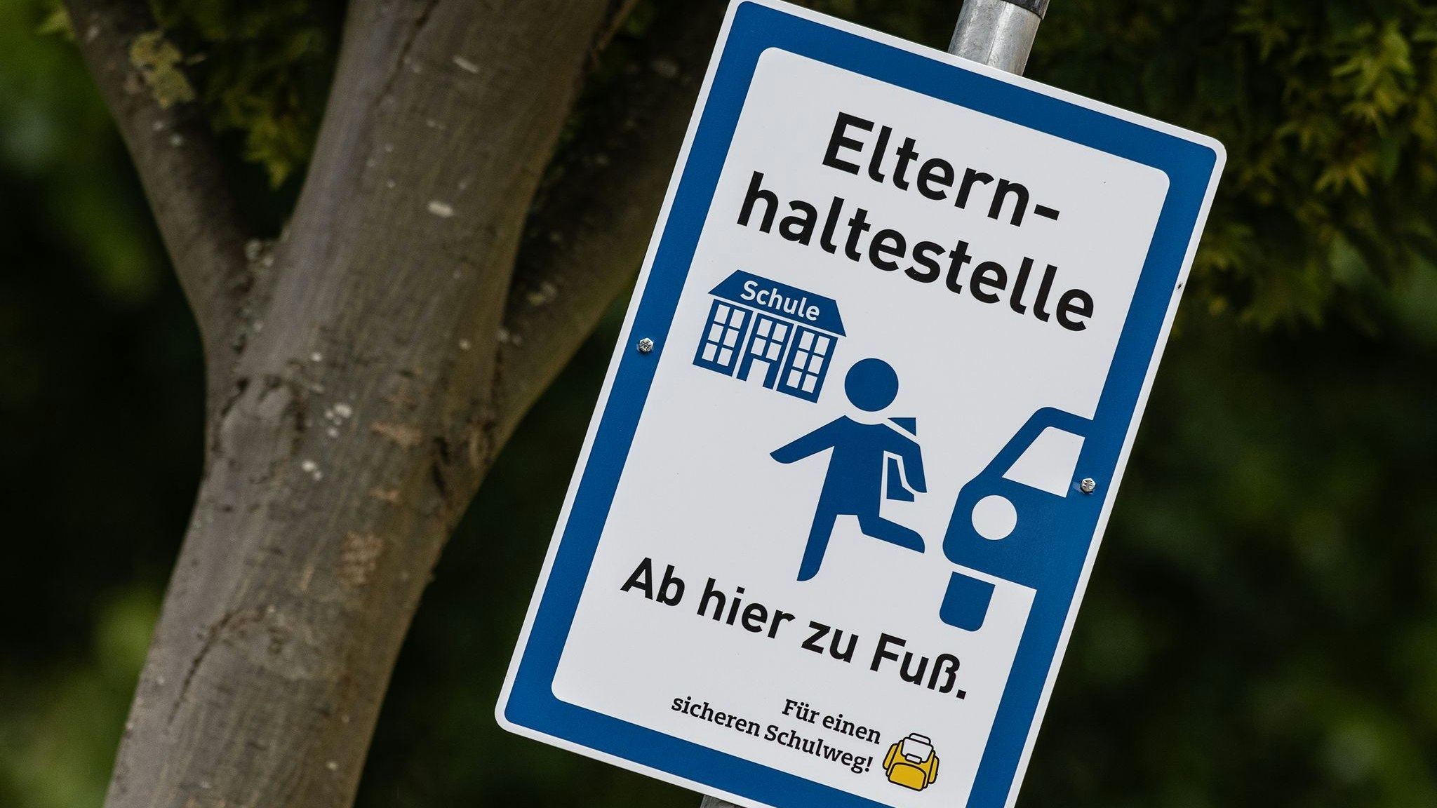 Ein Schild „Elternhaltestelle“ steht an der Martin-Luther-Grundschule. Foto: dpa/Pförtner