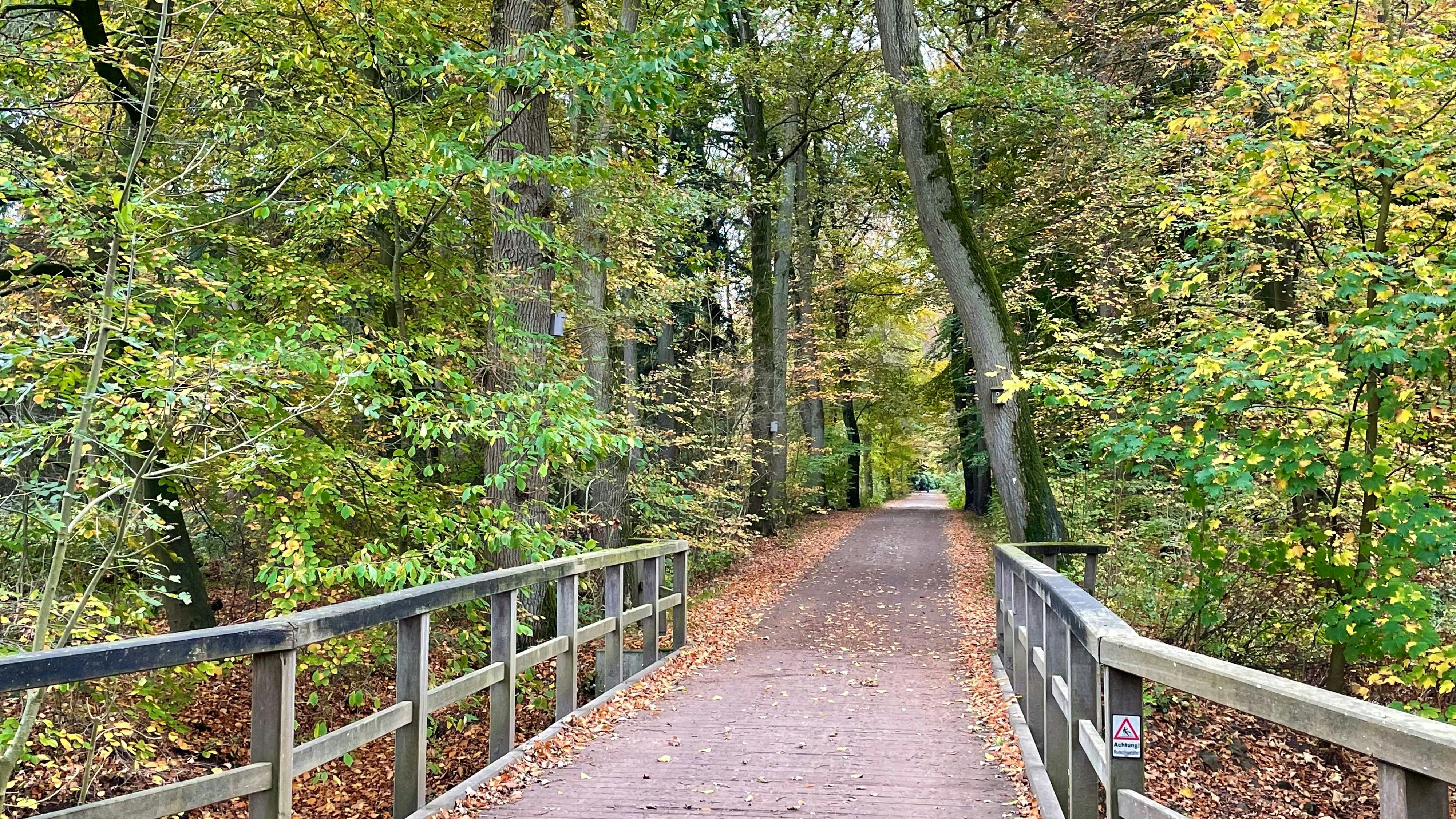 Der Pickerweg im Herbst in Vechta: Hier führt er unter anderem durch den Füchteler Wald und ist auch Teil des Jakobweges. Foto: M. Niehues
