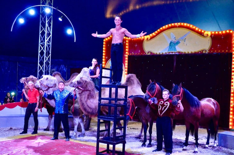 Harry (blaue Jacke) und Gianni Laffontien (oben) beim gemeinsamen Auftritt im elterlichen Zirkus. Foto: Familie FrankLaffontien