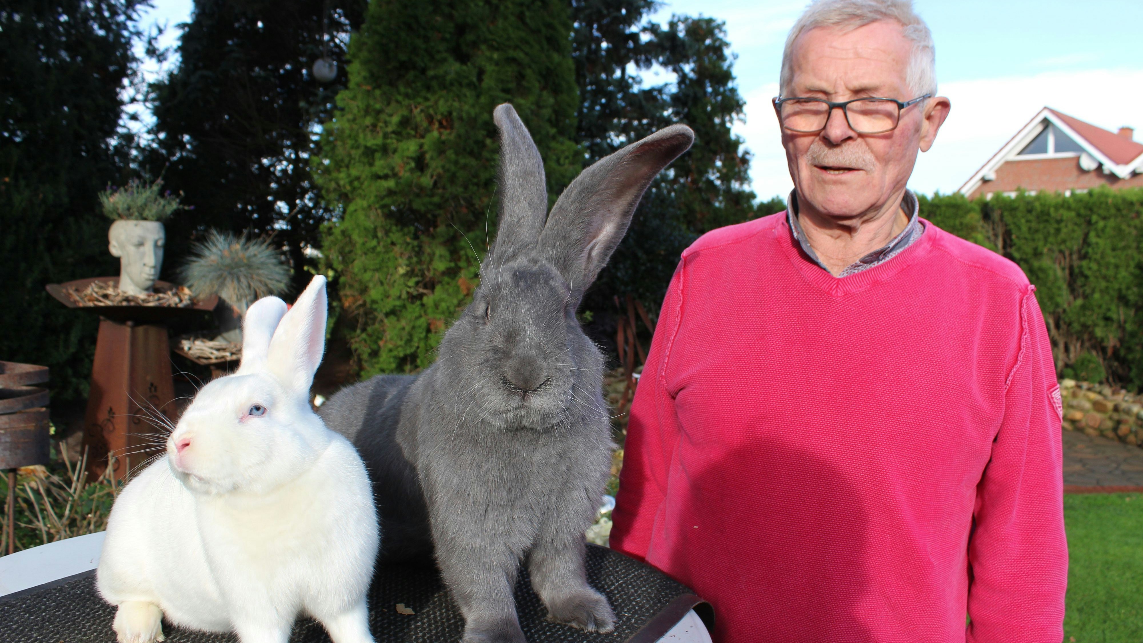 Reinhold Niehues mit zwei seiner Kaninchen. Foto: Heinzel