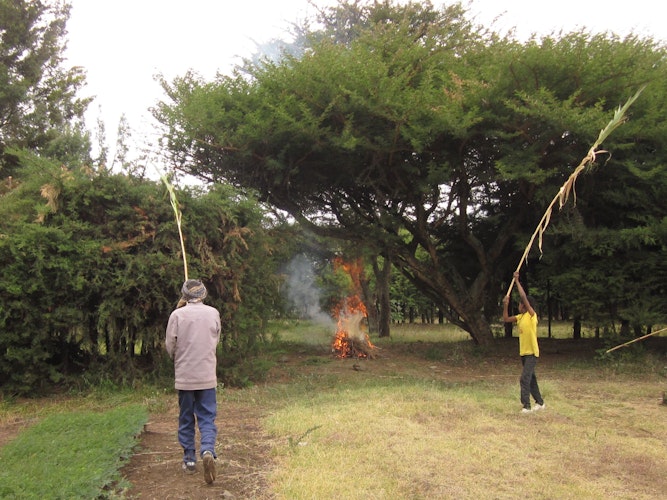 Kampf gegen die Plage: Mit Feuerqualm versuchen die Landwirte, die Heuschreckenschwärme zu vertreiben – oft vergebens. Foto: MfM